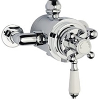 Picture for category Shower Valves
