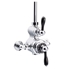 Picture of Exposed Thermostatic Shower Valve
