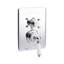 Picture of Concealed Thermostatic Shower Valve