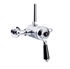 Picture of Manual Shower Valve